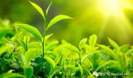 《生长》在线观看,探寻生命成长的奥秘与旅程