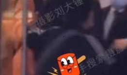 刘大锤爆料真假视频播放,真假视频播放，真相究竟如何？